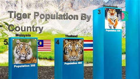 Tiger Population By Country 2023 | @universepak #universepak - YouTube