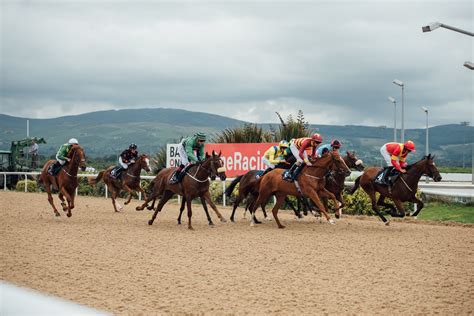 Dundalk Stadium | Top 100 Attractions