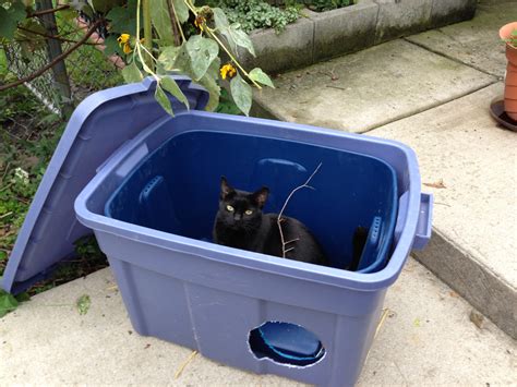 Quick and Easy Ideas for Low-Cost Outdoor Cat Shelters - Cats In My Yard