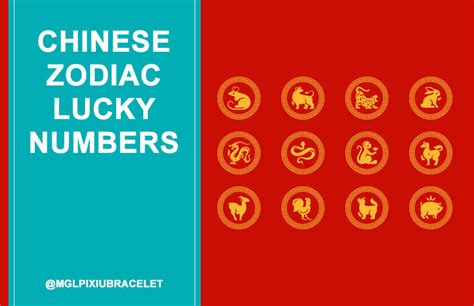 Chinese Zodiac Lucky Numbers 2024: The Ultimate Guide to Unlock Your ...