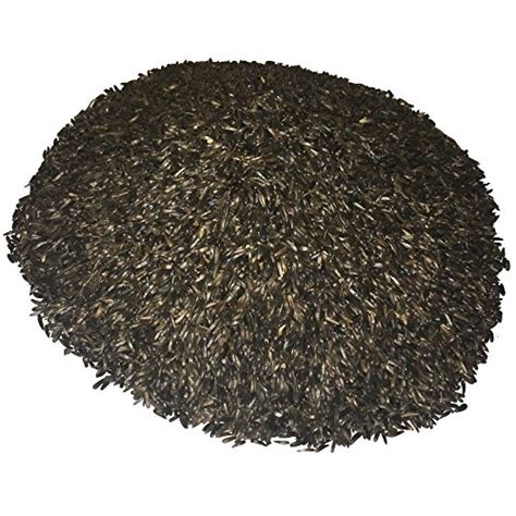 Wagner's 62052 Nyjer Thistle Seed Wild Bird Food, 50 lb – Pets Trend Store