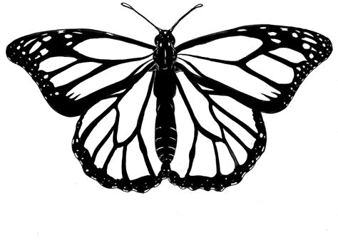 Pin by Paula Jansen on Tekenen / drawing | Butterfly outline, Butterfly clip art, Monarch butterfly