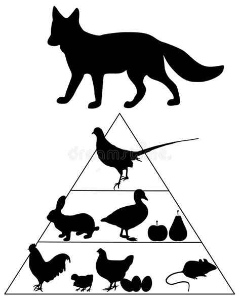 Food Pyramid Clipart Black And White