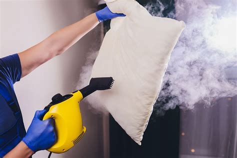 Does Steam Cleaning Kill Bed Bugs? (READ THIS FIRST) - Cleaners Talk