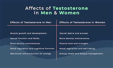 Difference In Testosterone Vs Estrogen