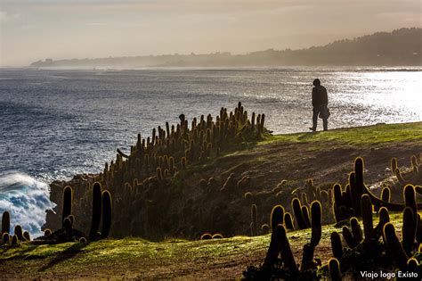 Pichilemu, finalmente na praia | América do Sul.20