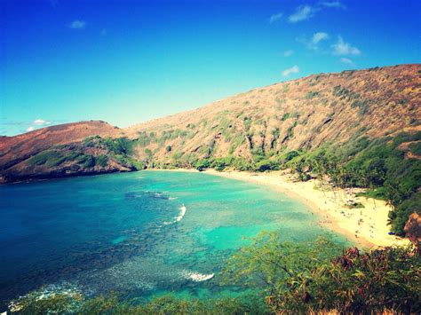 Waimea Bay Oahu | Waimea bay, Waimea, Oahu