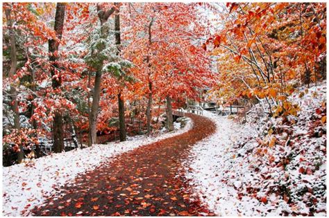 Fall Winter Wallpapers - Top Free Fall Winter Backgrounds - WallpaperAccess