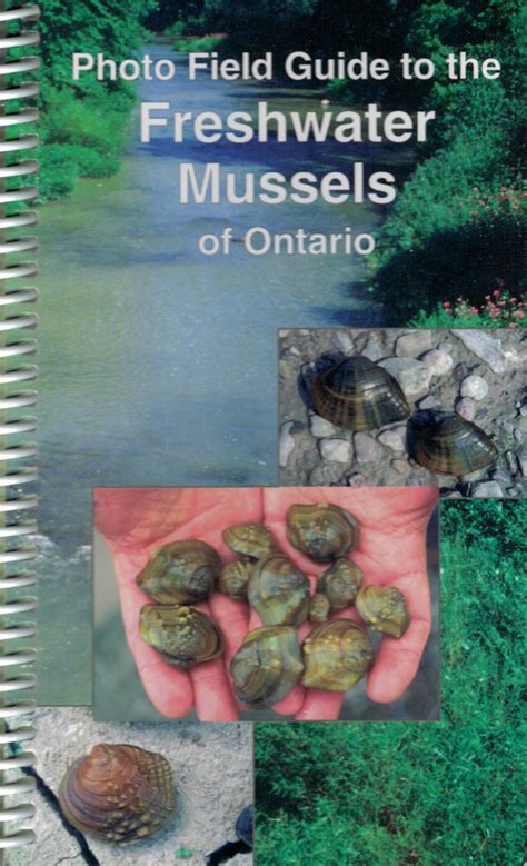 Photo Field Guide to the Freshwater Mussels of Ontario - Waterloo Region Nature