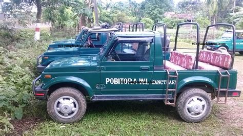 All terrain MAruti Gypsy for Jeep Safari into Pobitora Wildlife ...