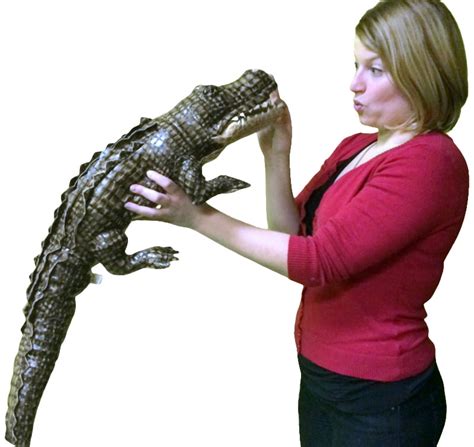 Large Stuffed Alligator 34 inches Long Big Plush Realistic Stuffed Animal High Quality - Walmart ...