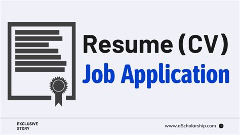 Winning Resume (CV) Format for Job Application 2023 - Fully Funded Scholarships 2023