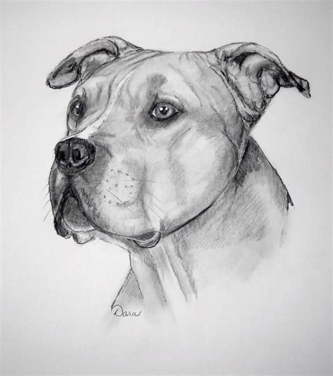 Pin by Mila Petkova on Dog love | Pitbull art, Dog portraits art, Dog art