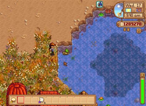 Duck... in a Pond?! | Stardew Valley Forums