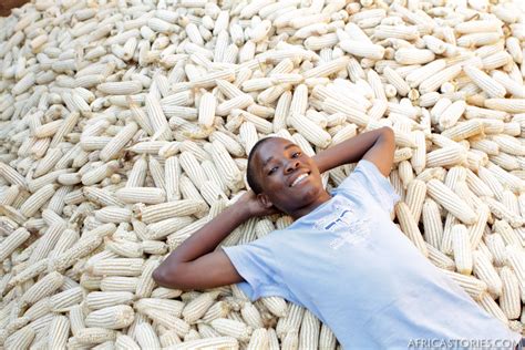 A Bountiful Maize Harvest « Africa Stories