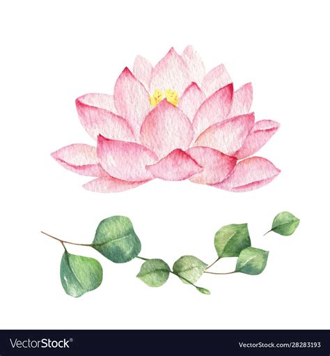 Watercolor composition lotus flower Royalty Free Vector