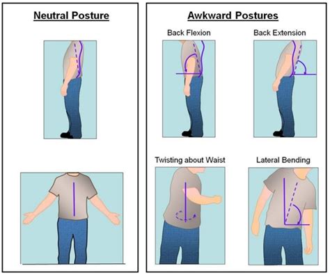 8 Fundamental Ergonomic Principles for Better Work Performance