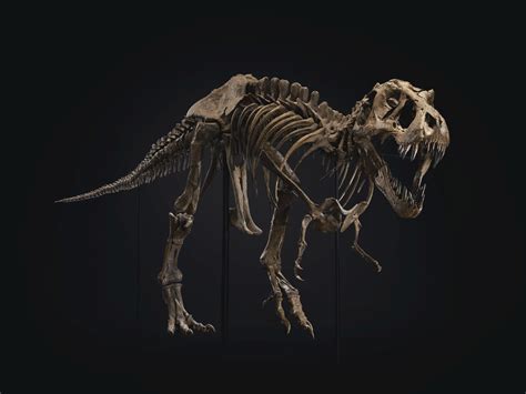 TYRANNOSAURUS REX , SOUTH DAKOTA, USA | Christie's