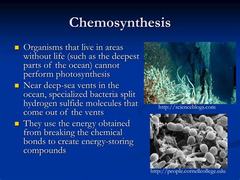 PPT - Biology 20 Unit 1 PowerPoint Presentation, free download - ID:2411184