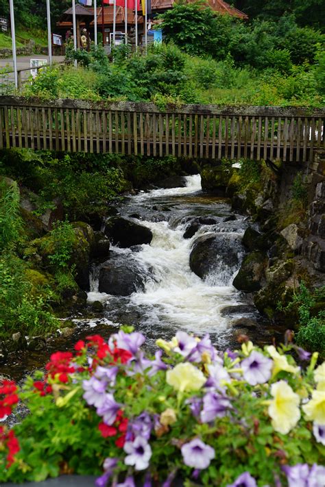 Exploring The Black Forest in Triberg, Germany - FashionAveMom