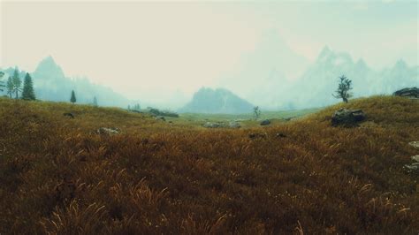 Wheat field at Skyrim Nexus - Mods and Community