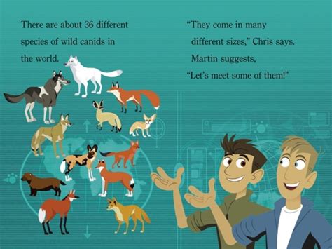 Wild Kratts All Animals