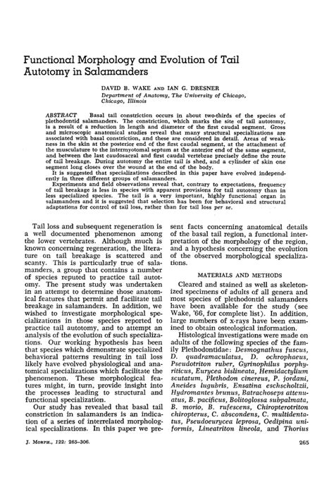 Functional Morphology and Evolution of Tail Autotomy in Salamanders - DocsLib