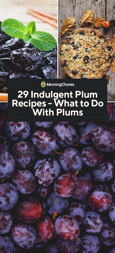 29 Indulgent Plum Recipes to Make At Home