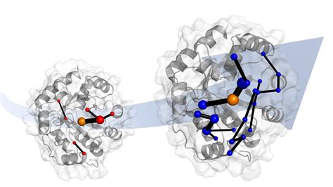 Understanding enzyme evolution paves the way for green chemistry