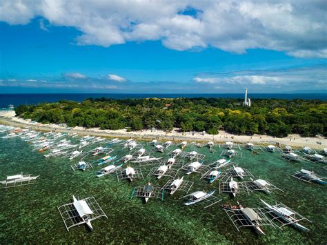 Balicasag Island Snorkeling & Dolphin-Watching I With Lunch