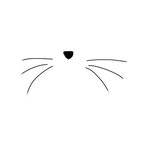 Cat Whiskers Png Download - Whiskers Clipart Black And White PNG - Clip ...