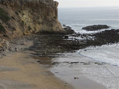 Abalone Cove Beach in Rancho Palos Verdes, CA - California Beaches