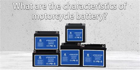 Custom lithium battery-overall introduction and advantages - TYCORUN ...