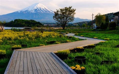 Mount Fuji's Backdrop: 5 Parks to Enjoy Iconic Views in Yamanashi ...