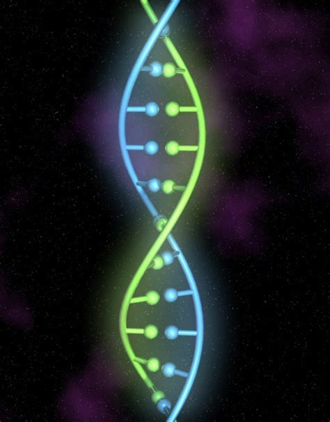 3d dna strand