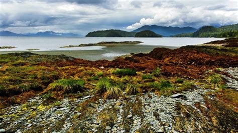 Top Things to Do in Ketchikan Alaska for an Excellent Vacation