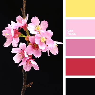 rose red | Color Palette Ideas