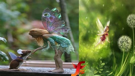 Top 5 Real Fairies Caught On Camera & Spotted In Real Life Evidence - YouTube | Real fairies ...