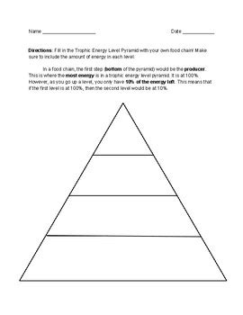 Trophic Level Pyramid Worksheet by Fisk-Koenig Science | TPT