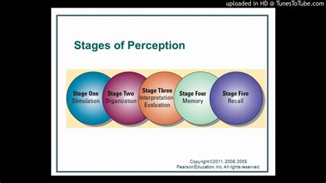 Perception And Process Of Perception