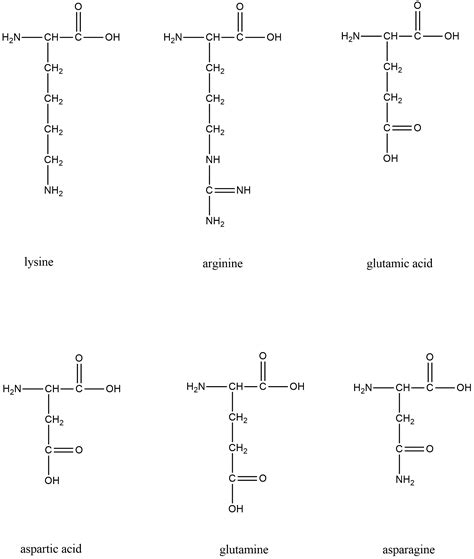 Which of the 20 amino acids have a hydrophilic side chain? | Quizlet