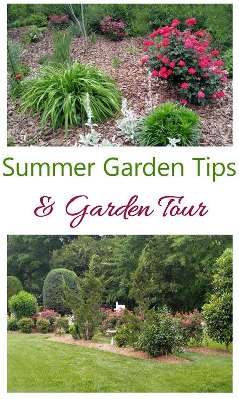 Summer Garden Tips & Garden Tour - Garden Maintenance in the Summer