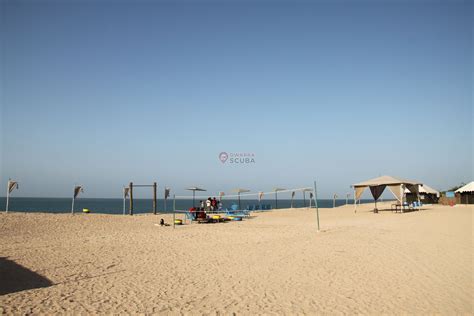 Tent City in Beyt Dwarka | Beach Camping in Beyt Dwarka | Dwarka Scuba