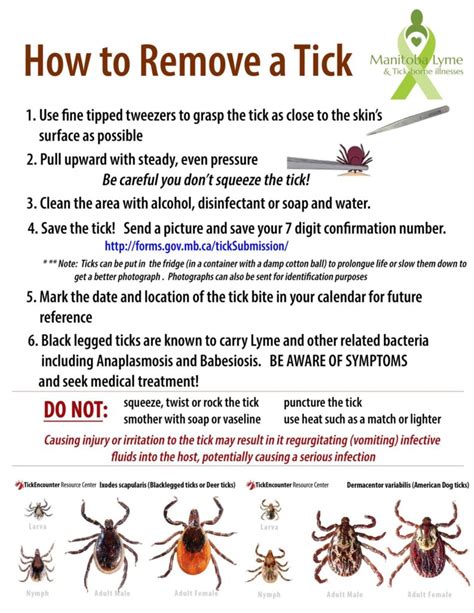 Ticks 101 – Saskatoon Search and Rescue