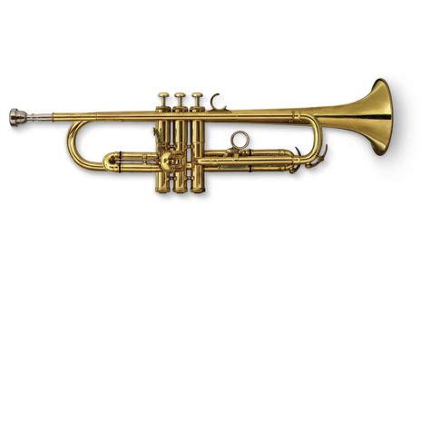 PWANG Trumpets B Trumpet Instrument Brass Instrument Beginner Playing Test Western Wind ...