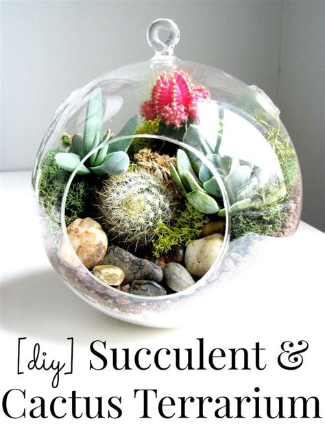 The Makers No. 57 - Persia Lou | Succulents diy, Cactus terrarium, Succulent garden diy