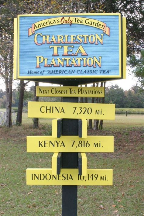 Charleston Tea Plantation - Alchetron, the free social encyclopedia