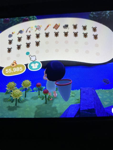 Just found giant water bug Island : r/AnimalCrossing