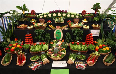 12 Artful Displays of Vegetables «TwistedSifter