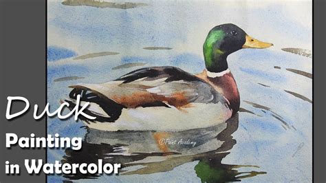 How to Paint Duck in Water in Watercolor - YouTube